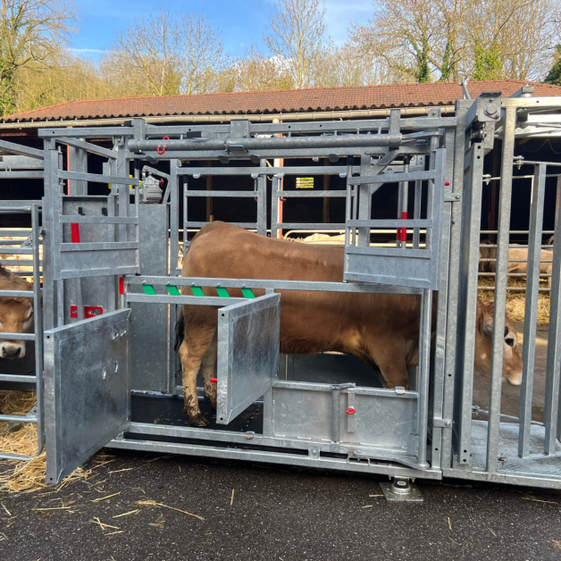 Marechalle Restraining Cage PM2810 Galvanized