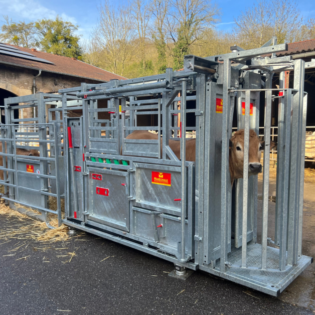 Marechalle Restraining Cage PM2810 Galvanized