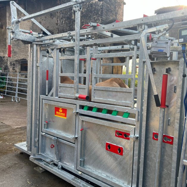 Marechalle Restraining Cage PM2810 Galvanized