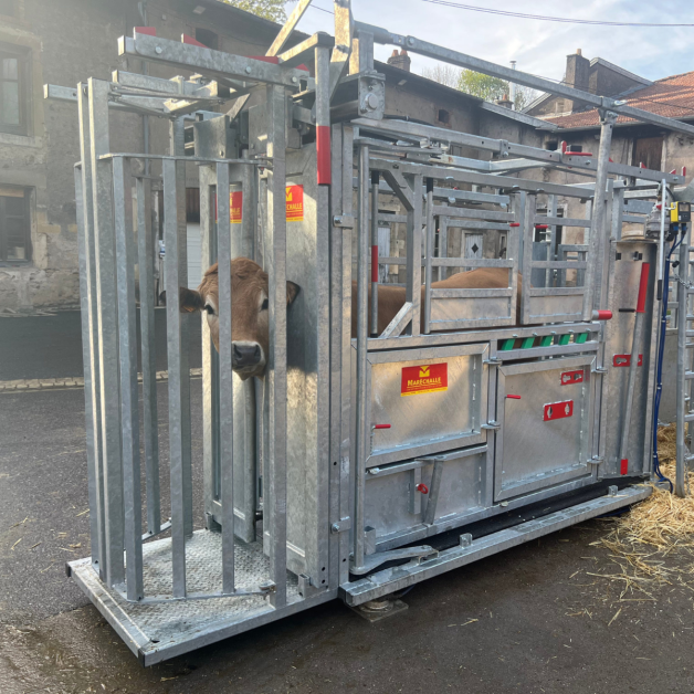 Verzinkte fixatiekooi Marechalle PM2810