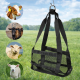 Lifting harness for calves and sheep