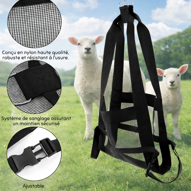 Harnais de levage pour veaux et moutons