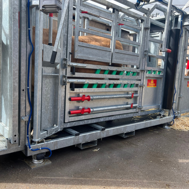 CAGE DE CONTENTION MARECHALLE PM 2900