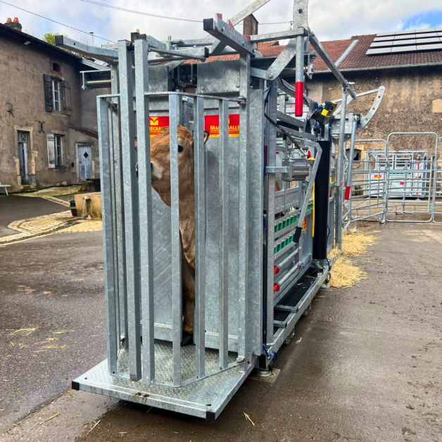 CAGE DE CONTENTION MARECHALLE PM 2900