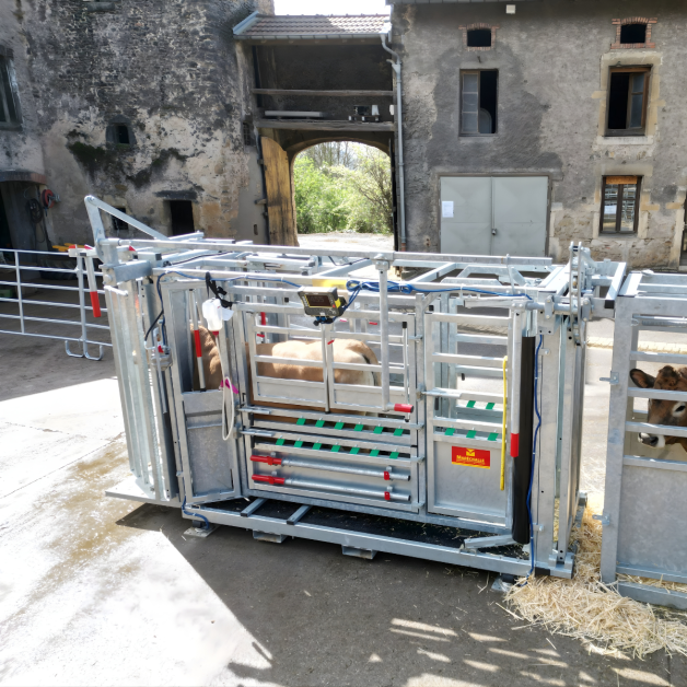 CAGE DE CONTENTION MARECHALLE PM 2900