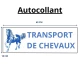 Autocollant Transport
