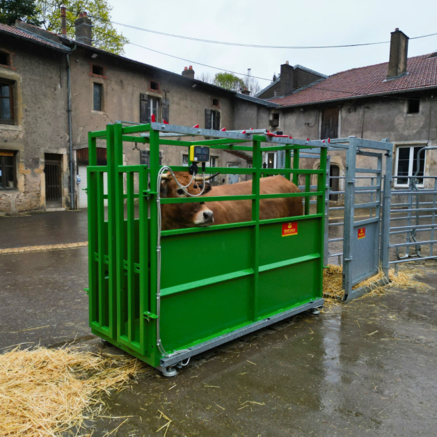 Marechalle PM 61 cattle tipping cage