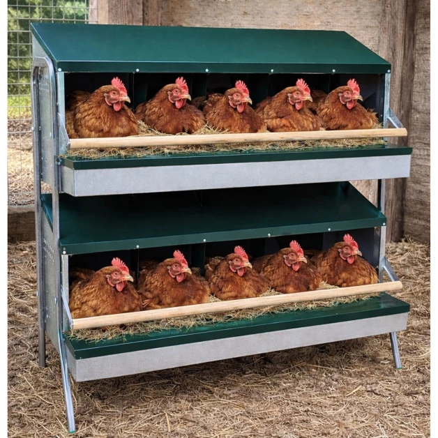 Collective nesting boxes