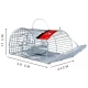 Cage piège multi capture contre les nuisibles