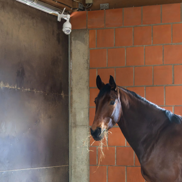 360° Rotating 4G/LTE Pro Surveillance Camera