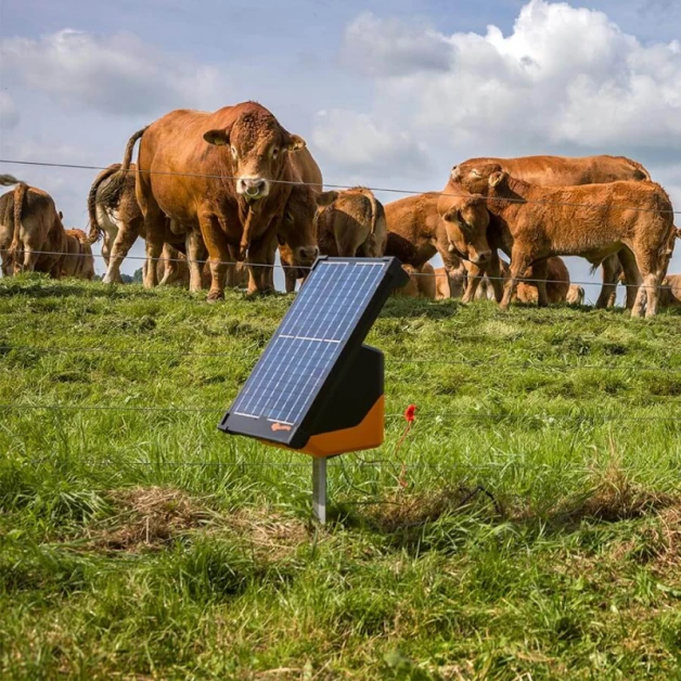 Gallagher support stake