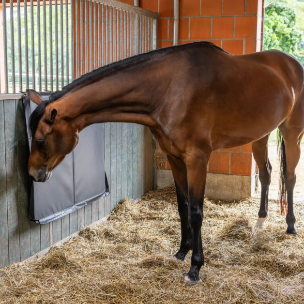 Beschermende kickpad voor paardenbox