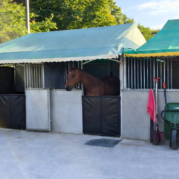 Protective kick pad for horse box