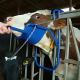 Vink Head Lifter for Cows