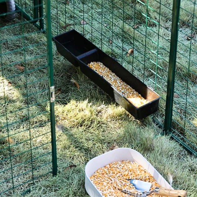 Poulailler Mobile EGG COLLECTION GAUN