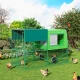 Mobile Chicken Coop EGG COLLECTION GAUN