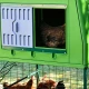 Mobile Chicken Coop EGG COLLECTION GAUN