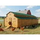 poulailler HPL 25 poules - module de base
