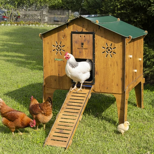 High-quality HPL chicken coop, red mite resistant