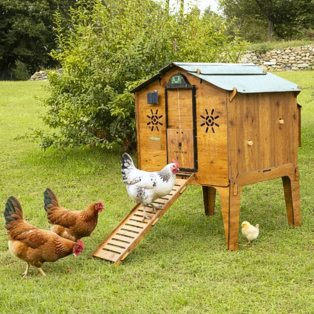 High-quality HPL chicken coop, red mite resistant