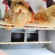 High-quality HPL chicken coop, red mite resistant
