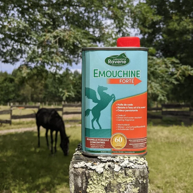 Émouchine Forte Ravene