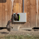 Porte automatique SmartCoop Kerbl