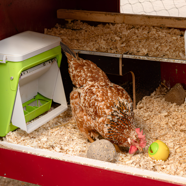 SmartCoop automatic dispenser