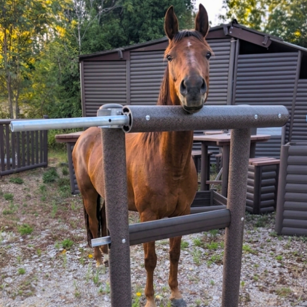 Barrière de carrière en éco-composite avec main courante