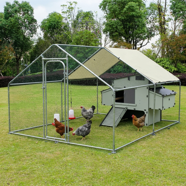 Grand enclos pour poules et autres volailles de 12 m²