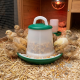Mangeoire poussins 1kg  Olba