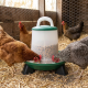Mangeoire pour poules Olba vert et blanc avec pieds – 3kg ou 6kg