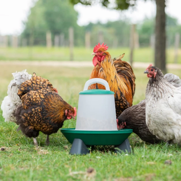 Mangeoire pour poules Olba vert et blanc avec pieds – 3kg ou 6kg