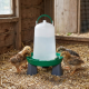 Abreuvoir pour poules Olba vert et blanc avec pieds
