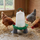 Abreuvoir pour poules Olba vert et blanc avec pieds