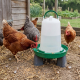 Abreuvoir pour poules Olba vert et blanc avec pieds