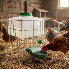 Dog waterer with a 20-liter reservoir