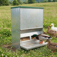 Trémie galvanisée anti-gaspillage pour canard