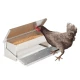 Pedal feeder for ducks, geese, chickens