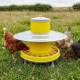 Mangeoire à trémie en plastique sur pieds pour poules