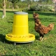 Mangeoire à trémie en plastique sur pieds pour poules