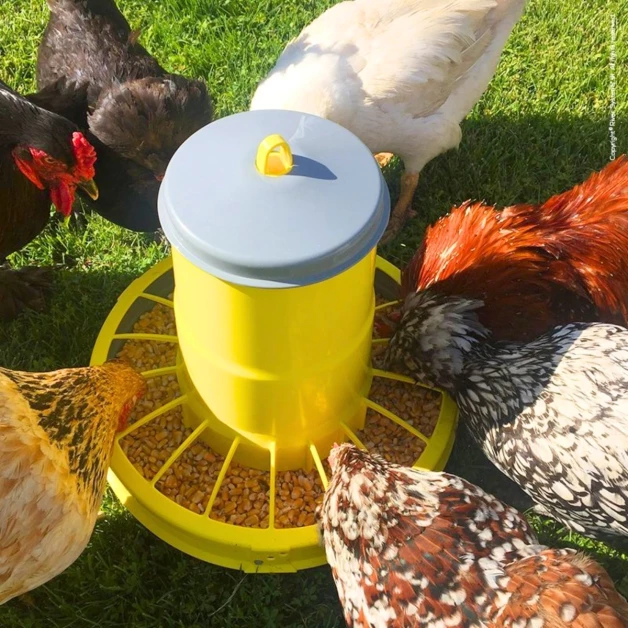 Plastic voederbak op poten voor kippen.