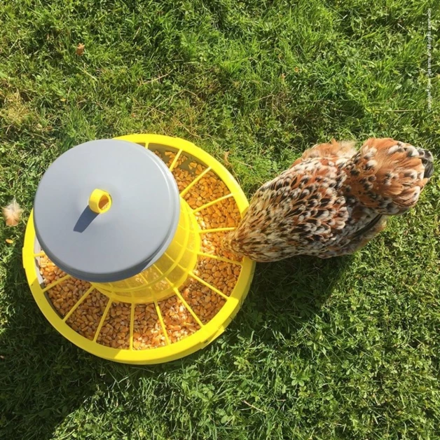 Plastic voederbak op poten voor kippen.
