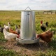 Galvanized poultry feeder 20 kg with legs