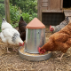 Galvanized poultry feeder for 10 or 20 kg