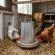 Galvanized poultry feeder for 10 or 20 kg