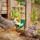 Mangeoires anti-nuisibles pour poules
