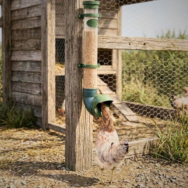 Mangeoires anti-nuisibles pour poules