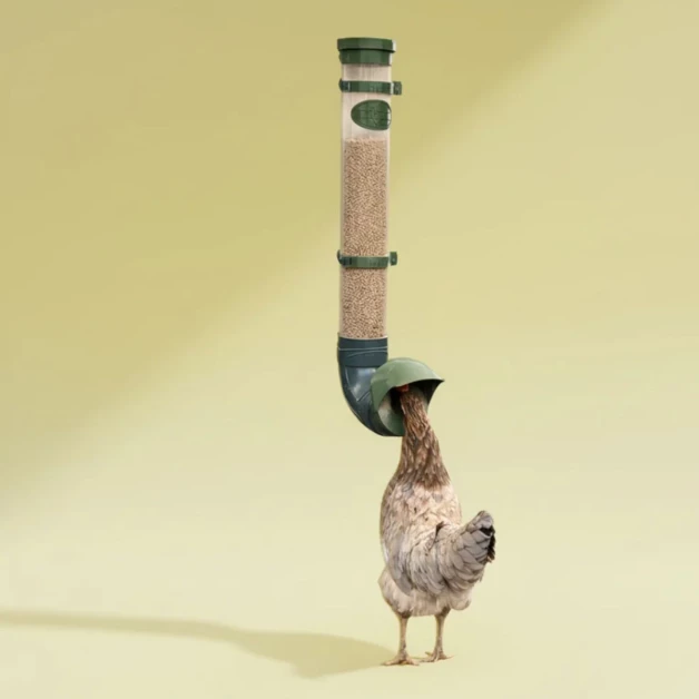 Mangeoires anti-nuisibles pour poules