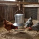 Galvanized feeder 9 kg GAUN